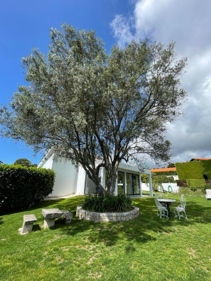 Fonte Do Forno Villas Afife Exterior foto